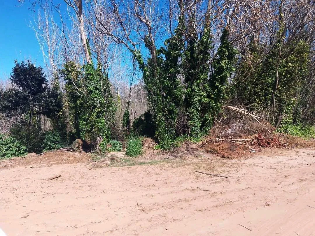 En Carilo, lote en venta en calle Avestruz