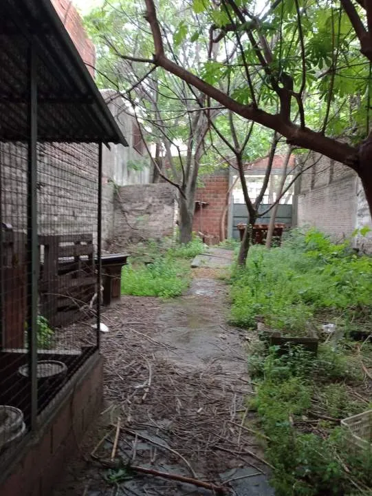 Oficina y galpon o vivienda multifamiliar