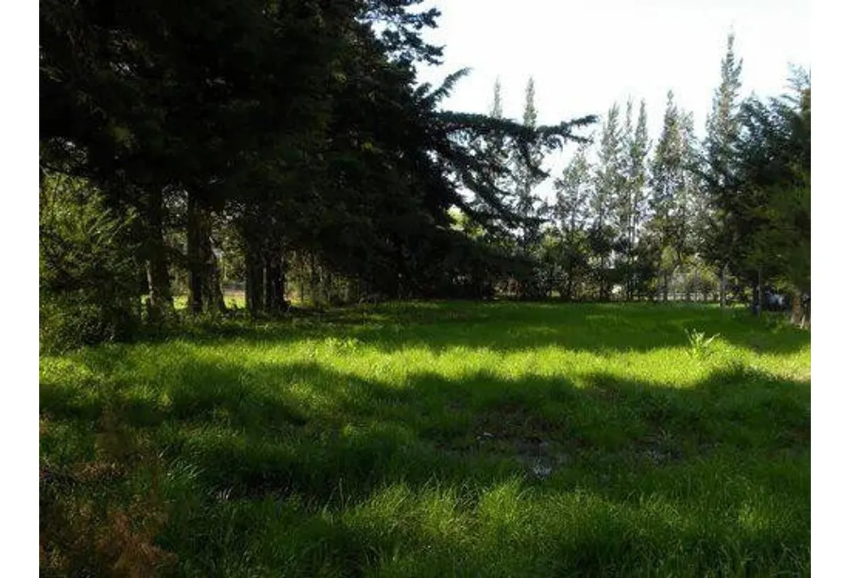 Terreno - Villa Elisa