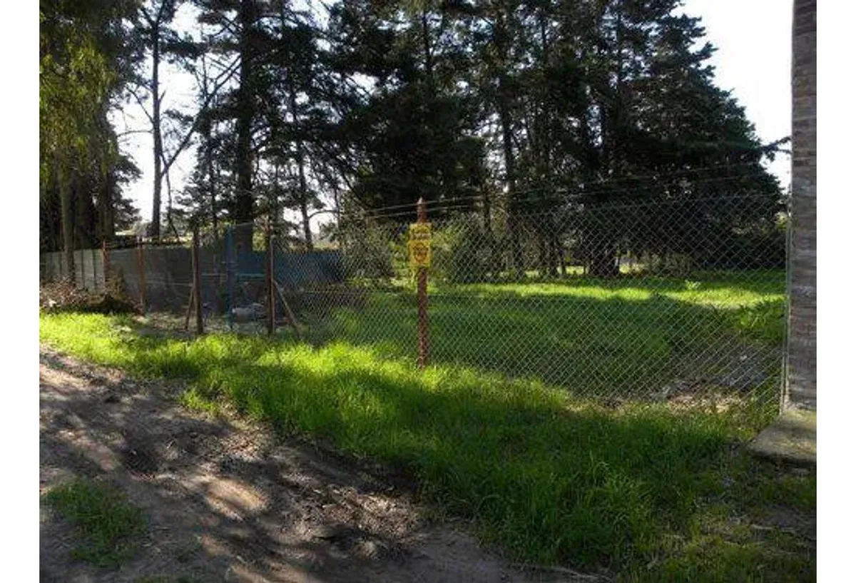 Terreno - Villa Elisa