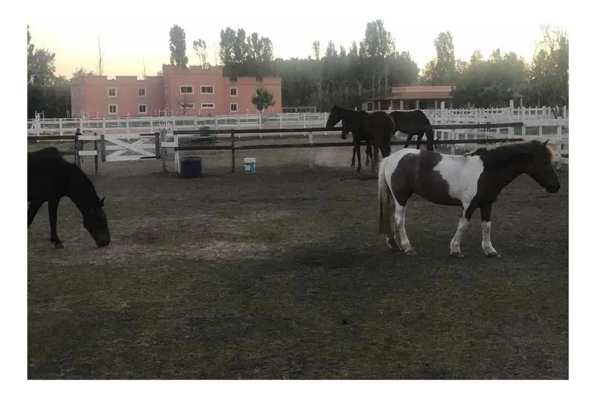Casa - Haras Del Pilar