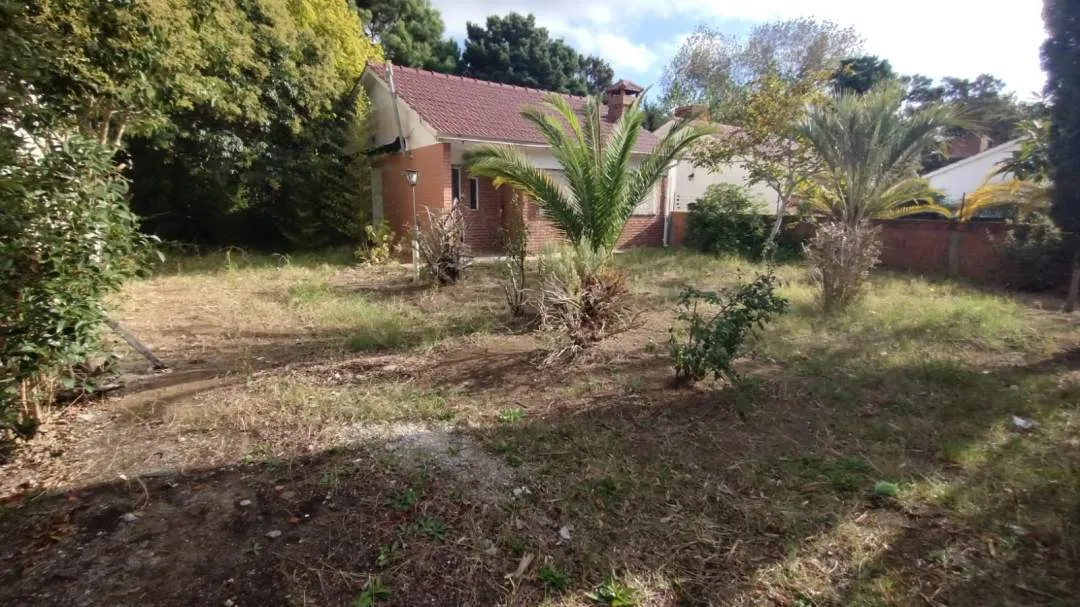 CHALET  SOBRE LOTE ARBOLADO DE 650 m2