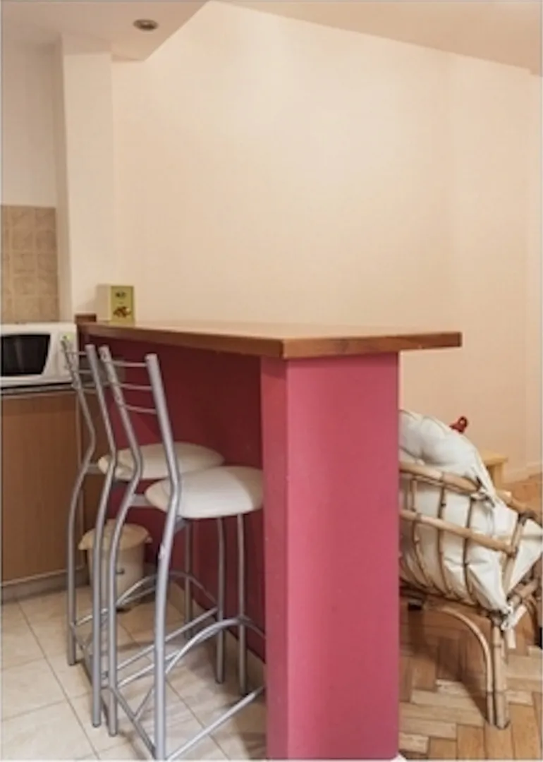 Departamento 1 Ambiente - Recoleta