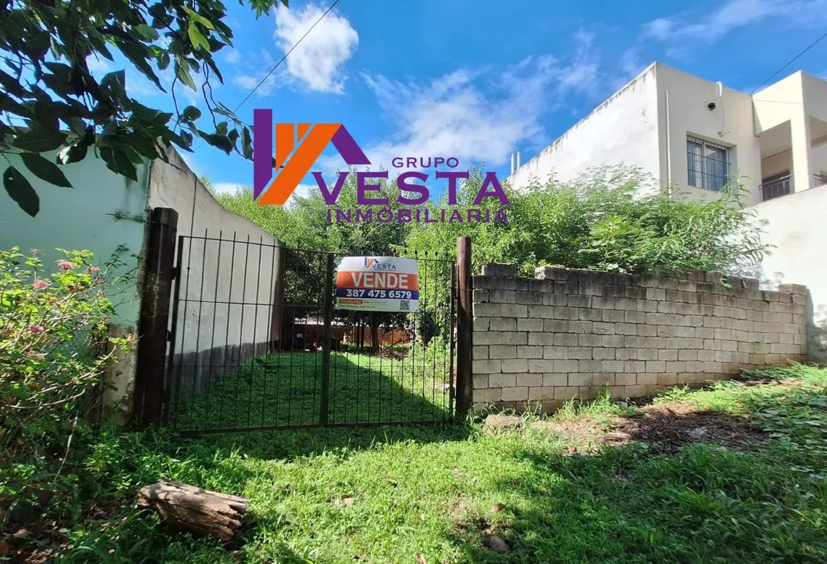 Tres Cerritos-terreno-venta-los Naranjos Al 300