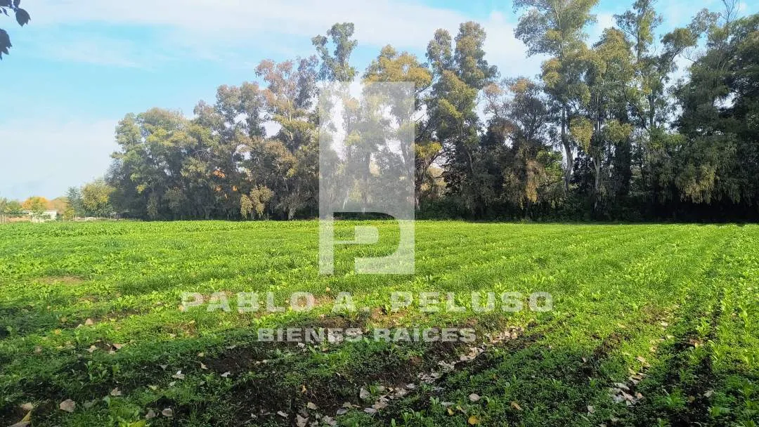 VENTA LOTE EN CUARTEL V, MORENO. ZONA OESTE. BUENOS AIRES.