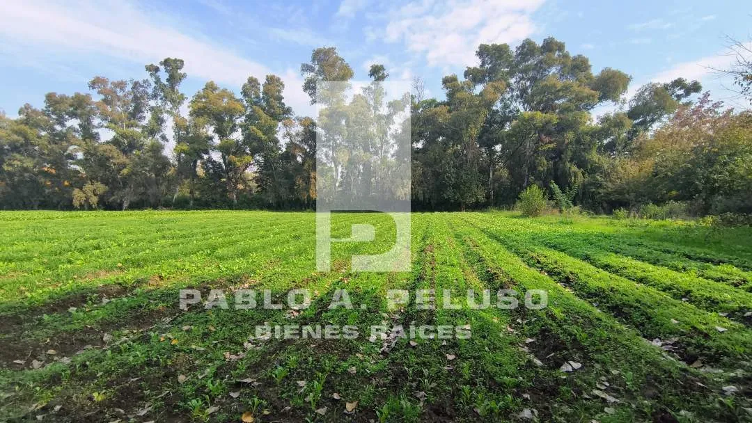 VENTA LOTE EN CUARTEL V, MORENO. ZONA OESTE. BUENOS AIRES.