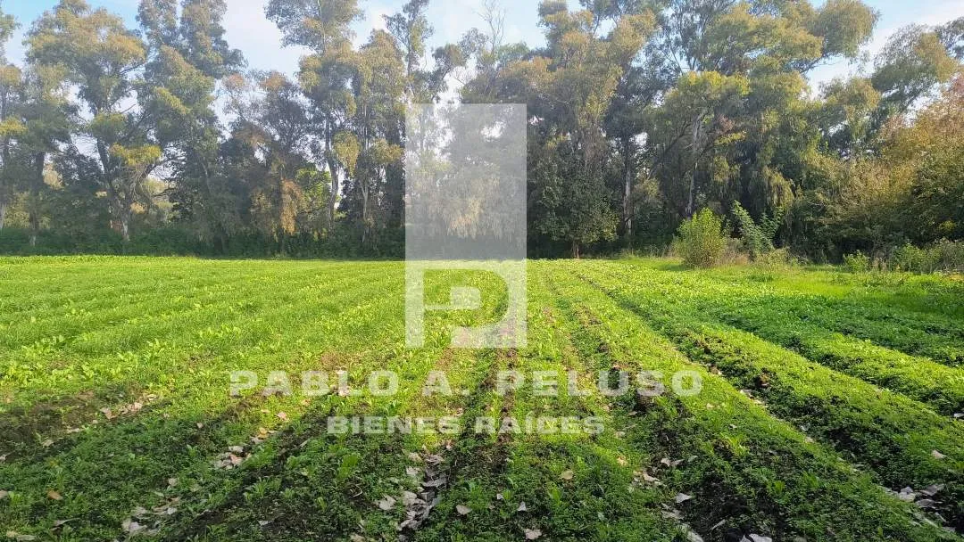 VENTA LOTE EN CUARTEL V, MORENO. ZONA OESTE. BUENOS AIRES.