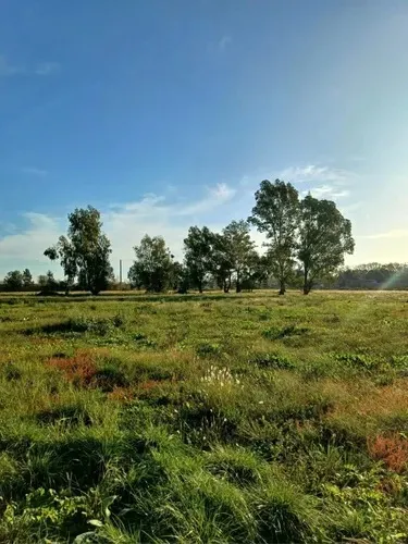 Girardot , Virrey Del Pino, La Matanza, Bs.as