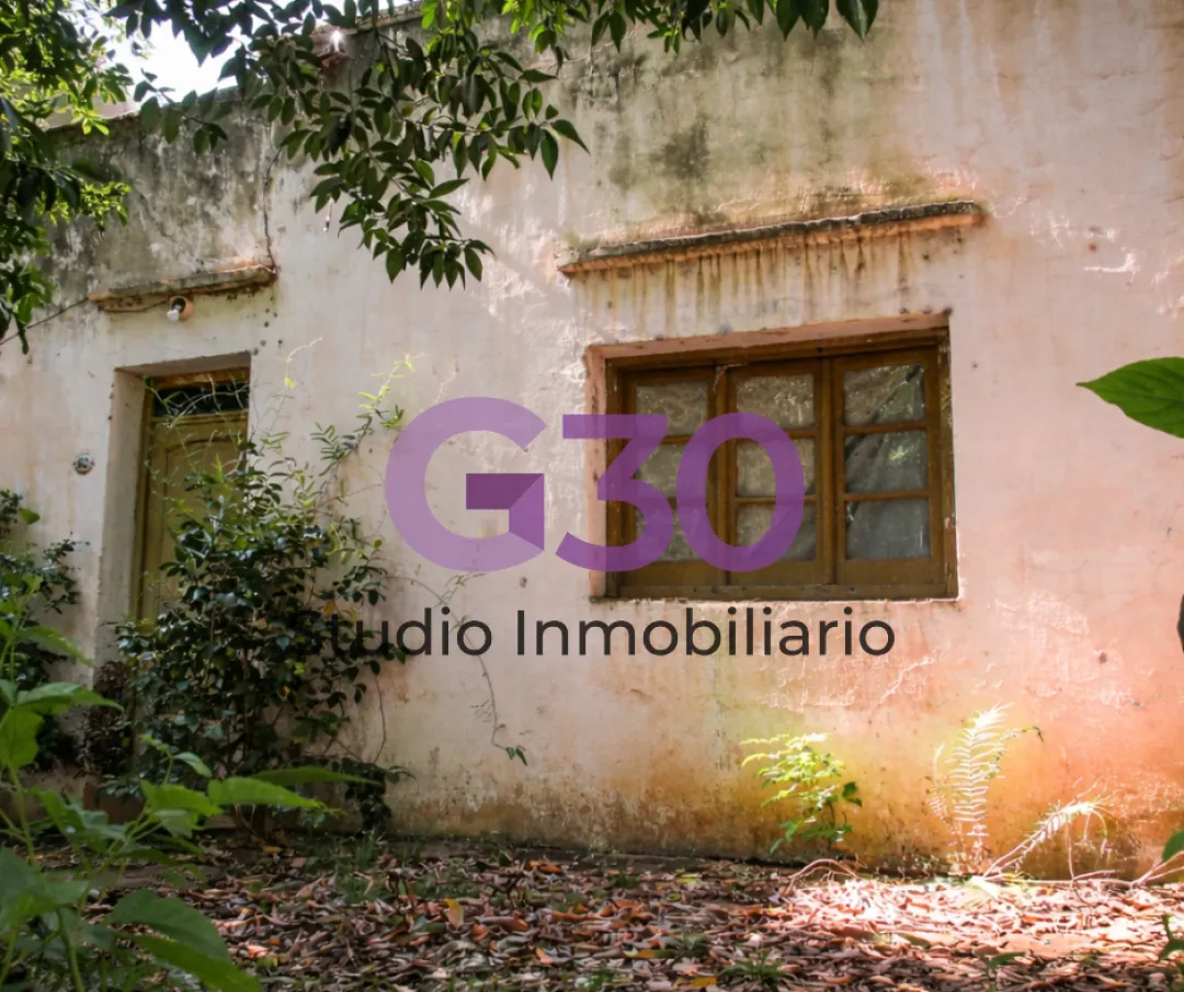 Excelente Terreno sobre Av. Mitre con casa a reciclar.