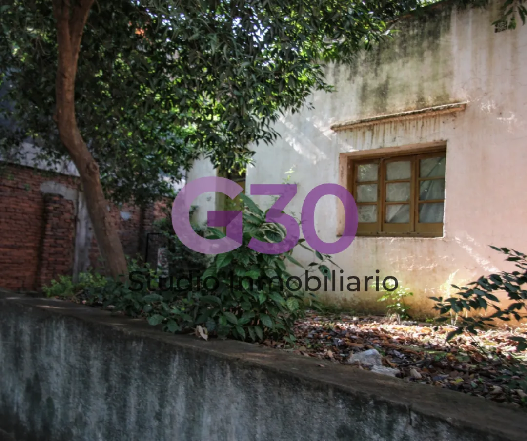 Excelente Terreno sobre Av. Mitre con casa a reciclar.