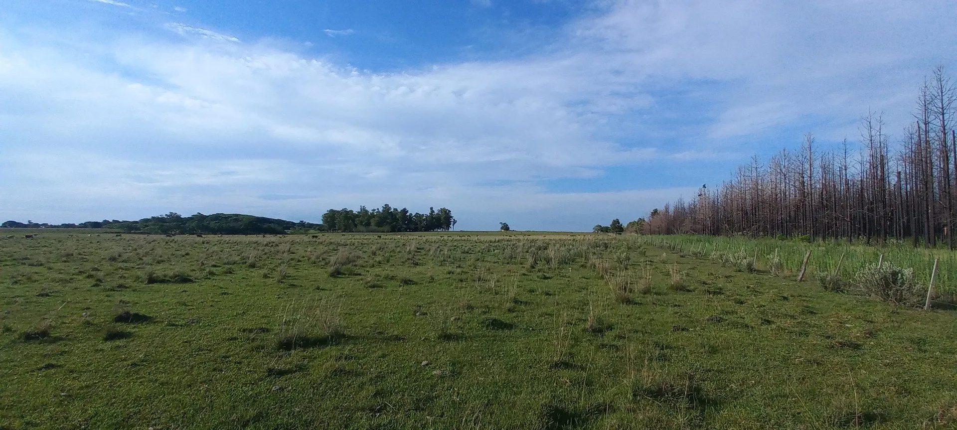 Campo Se Vende, De 214 Has. Zona Gdor. Virasoro - Corrientes