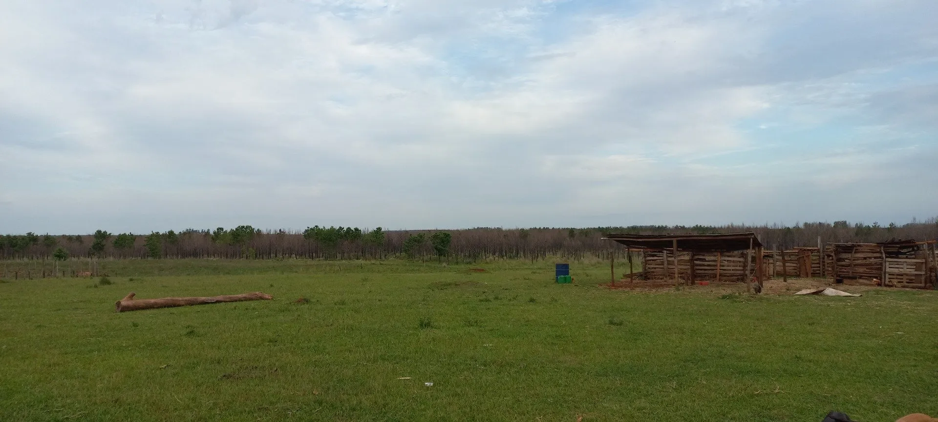 Campo Se Vende, De 214 Has. Zona Gdor. Virasoro - Corrientes