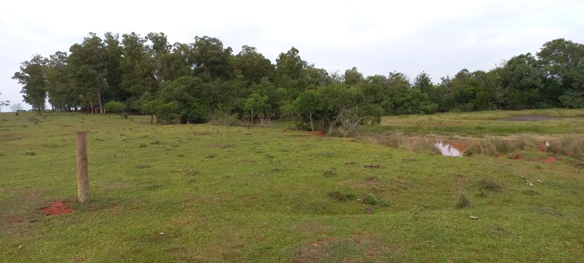 Campo Se Vende, De 214 Has. Zona Gdor. Virasoro - Corrientes