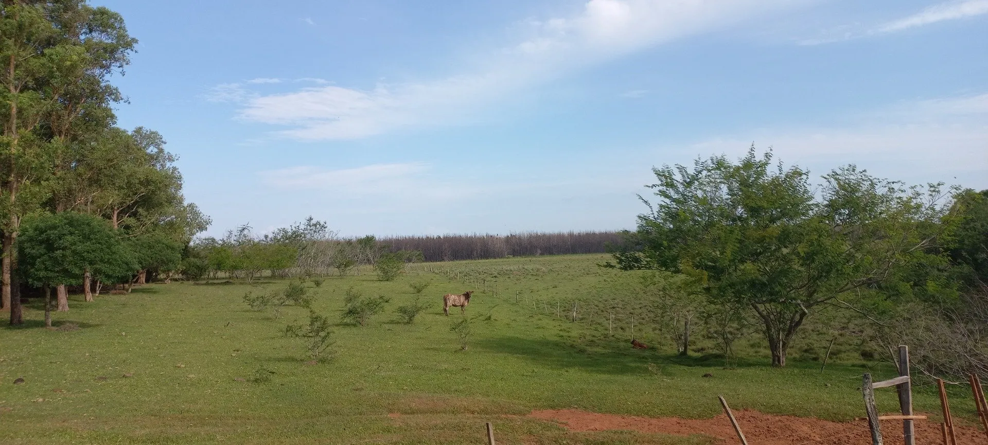 Campo Se Vende, De 214 Has. Zona Gdor. Virasoro - Corrientes