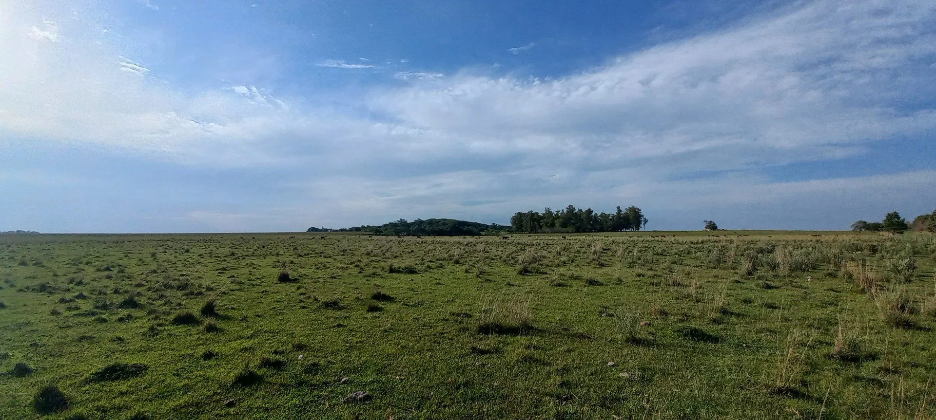 Campo Se Vende, De 214 Has. Zona Gdor. Virasoro - Corrientes