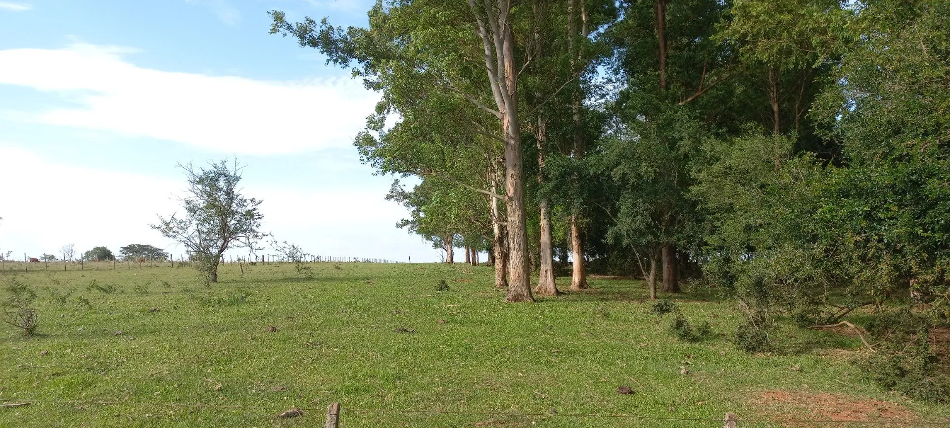 Campo Se Vende, De 214 Has. Zona Gdor. Virasoro - Corrientes