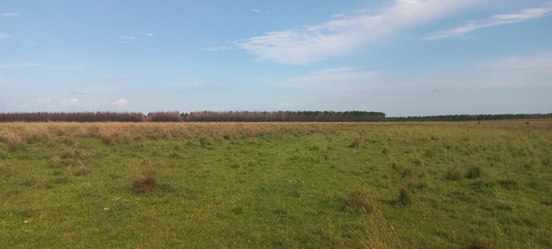 Campo Se Vende, De 214 Has. Zona Gdor. Virasoro - Corrientes