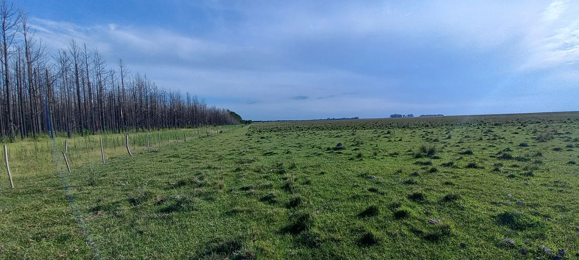 Campo Se Vende, De 214 Has. Zona Gdor. Virasoro - Corrientes