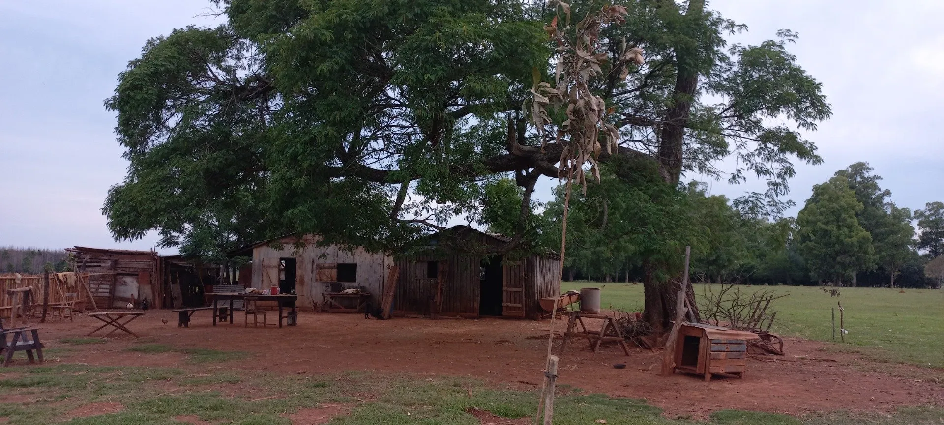 Campo Se Vende, De 214 Has. Zona Gdor. Virasoro - Corrientes