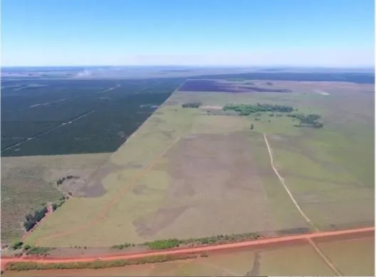 Campo Se Vende, De 214 Has. Zona Gdor. Virasoro - Corrientes