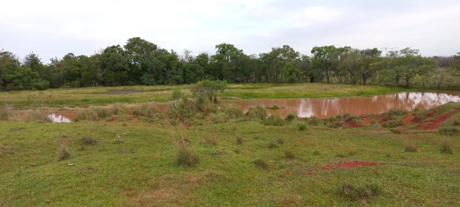 Campo Se Vende, De 214 Has. Zona Gdor. Virasoro - Corrientes