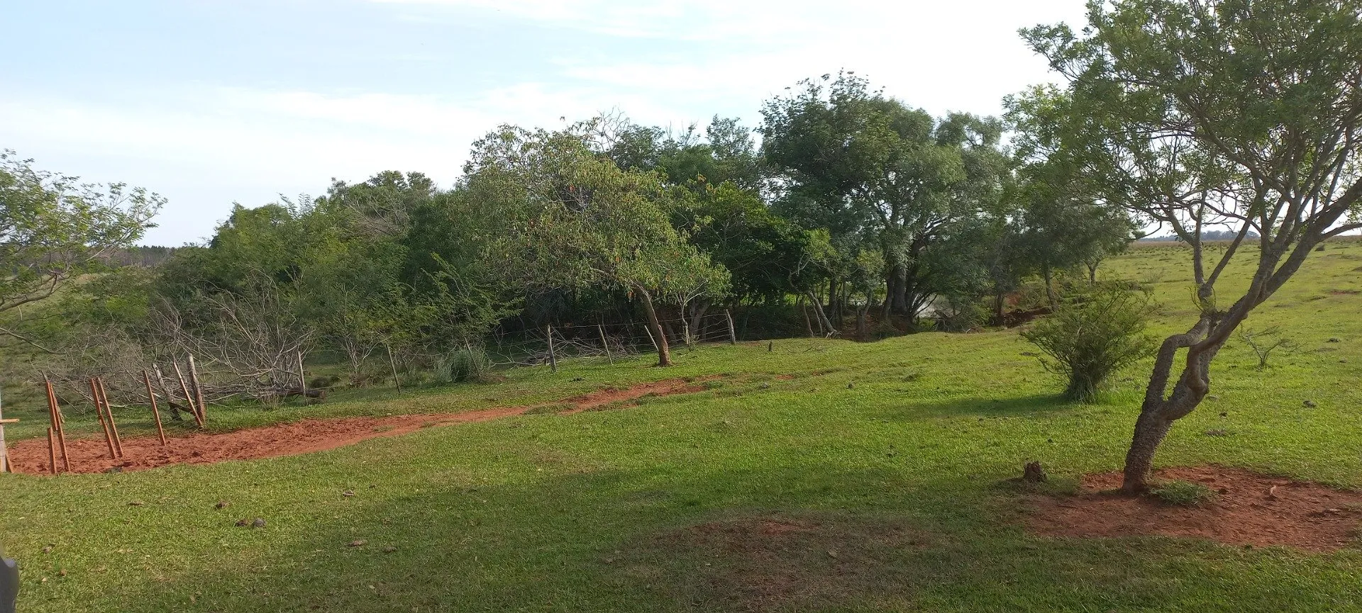 Campo Se Vende, De 214 Has. Zona Gdor. Virasoro - Corrientes
