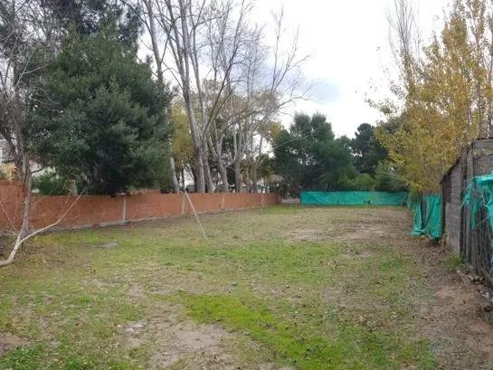 CHALET CON AMPLIO TERRENO