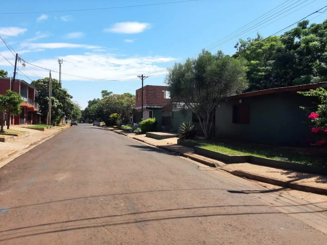 Terreno Nivelado/Tapiado.