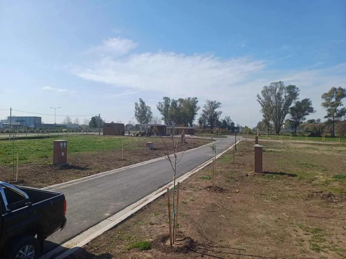 Santa Sofía, Zelaya