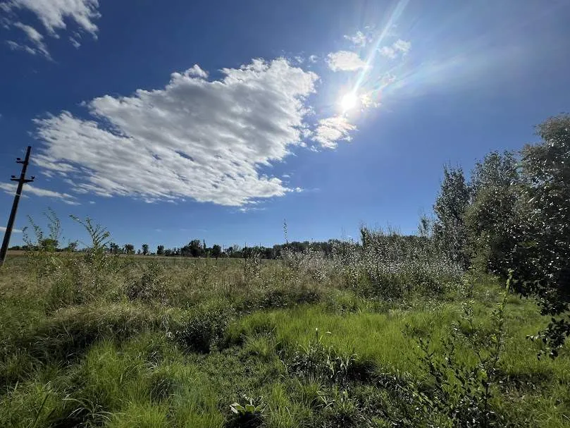 Terreno. Estancia Grande
