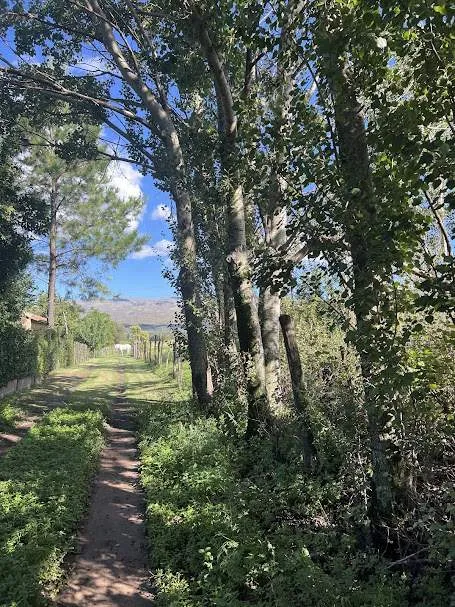 Terreno. Estancia Grande