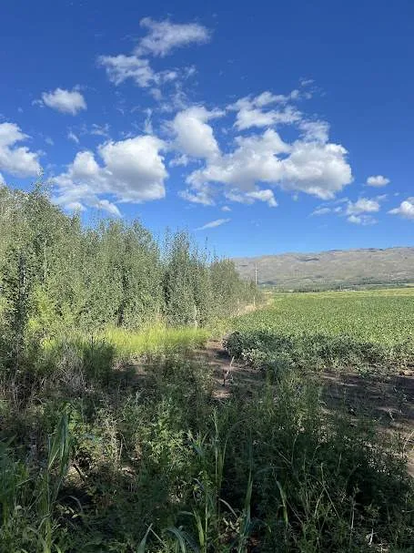 Terreno. Estancia Grande