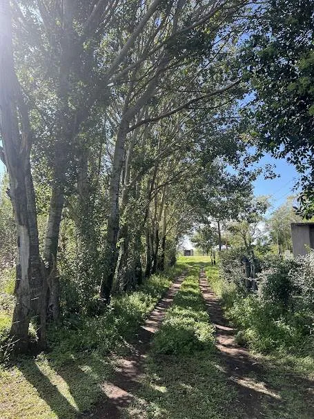 Terreno. Estancia Grande