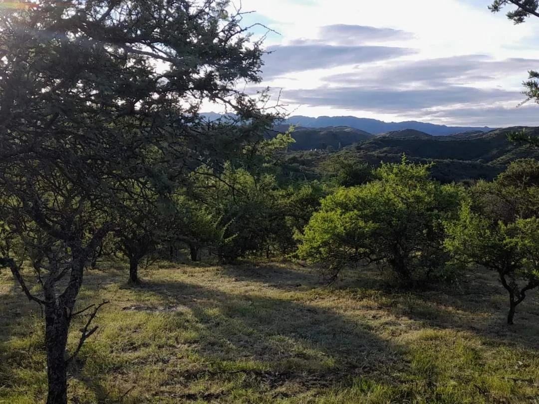 Terreno . B° Privado Prados del Trapiche