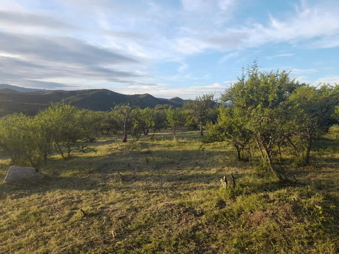 Terreno . B° Privado Prados del Trapiche