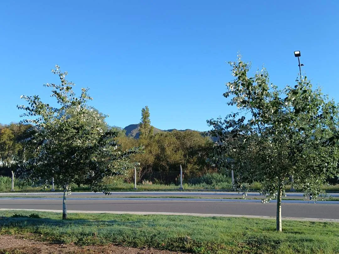 Terrenos a la venta en Juana Koslay