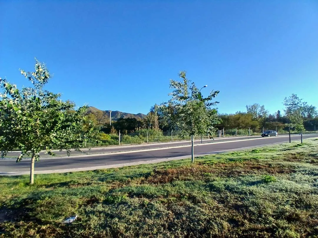 Terrenos a la venta en Juana Koslay