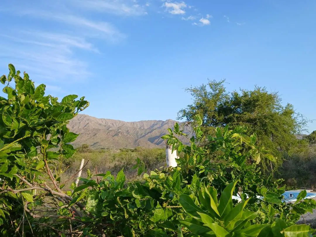 Complejo de Cabañas + Local Comercial + Casa