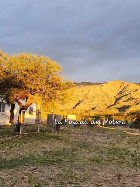 Complejo de Cabañas + Local Comercial + Casa