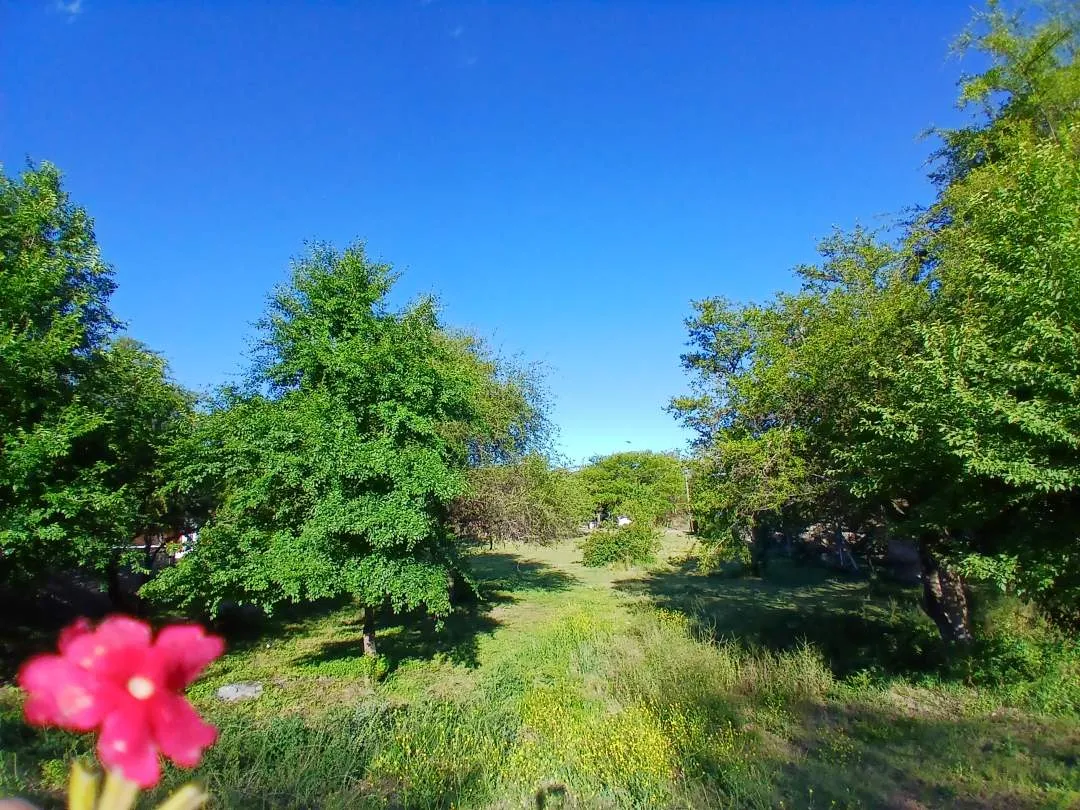 Terreno.  Potrero de los Funes. -Entorno Bosque Autóctono-