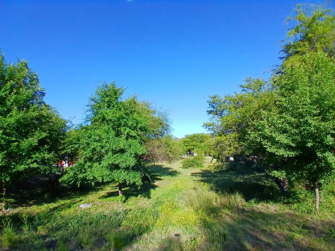 Terreno.  Potrero de los Funes. -Entorno Bosque Autóctono-