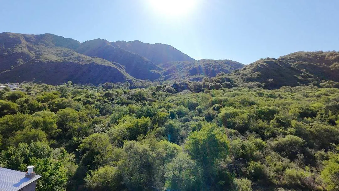 Terreno.  Potrero de los Funes. -Entorno Bosque Autóctono-