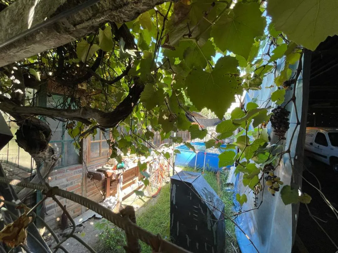 Casa+Lote-Venta-Pablo Podesta