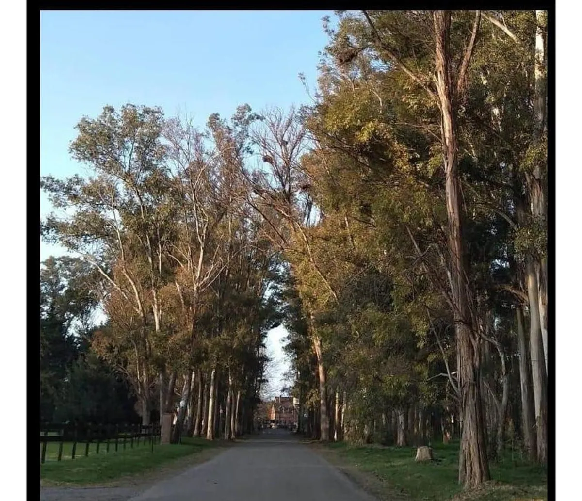Terreno - General Rodriguez