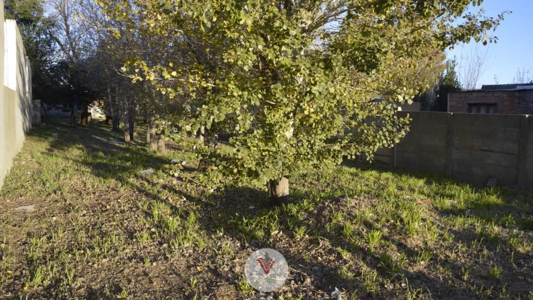 Lote en Venta en General Belgrano