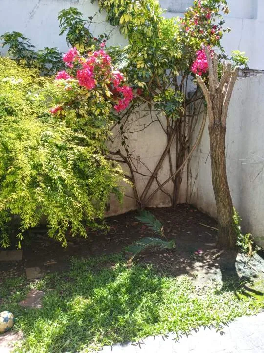 Triplex-Venta-Martin Coronado