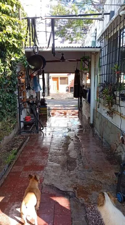 Casa-Venta-Pablo Podesta