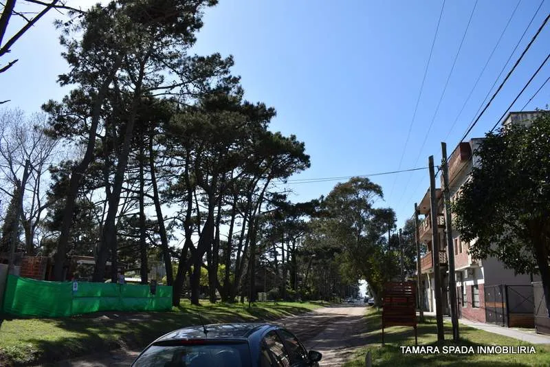 INDEPENDIENTE Y FRENTE AL BOSQUE