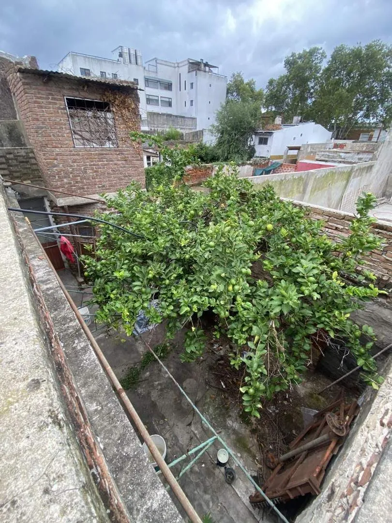 Complejo Multifuncional en Zarate, Centro.