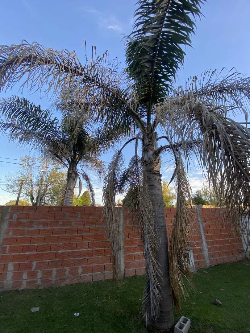 Casa en Venta, General Rodriguez